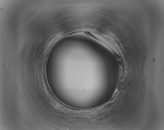 X0000062610001200512211149