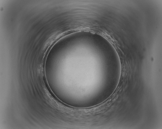 X0000062610002200512211149