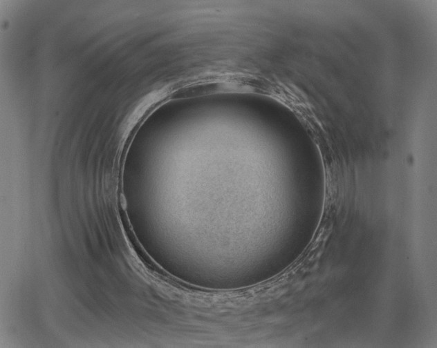 X0000062610003200512211149