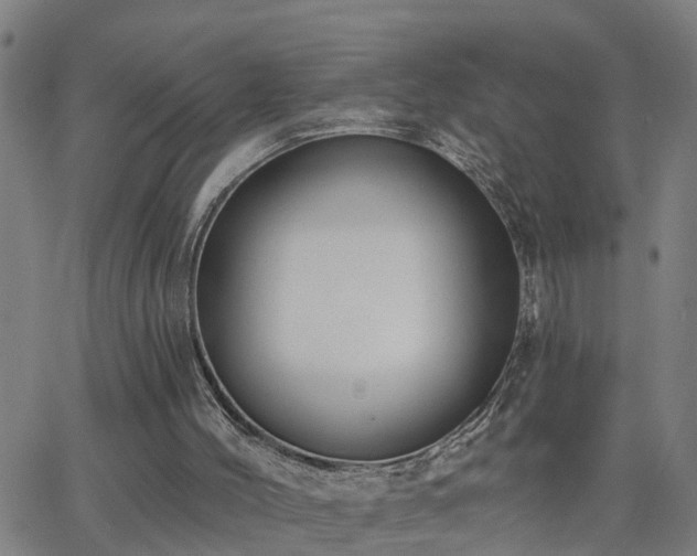 X0000062610004200512211149