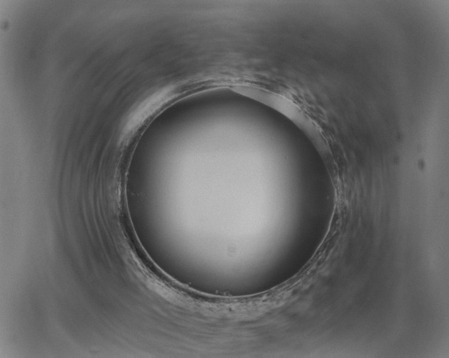 X0000062610005200512211149