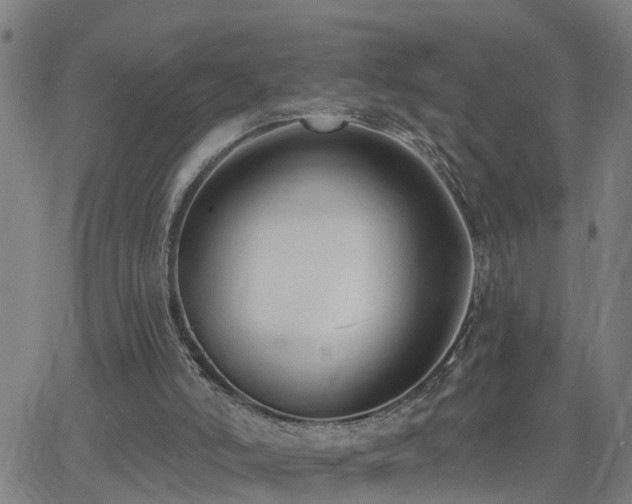 X0000062610006200512211149