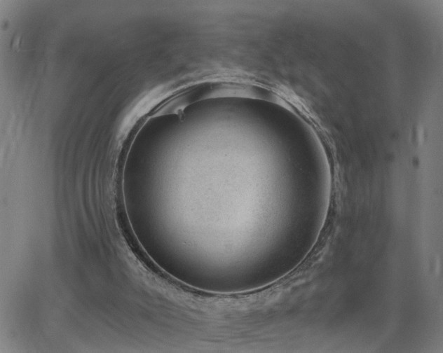 X0000062610007200512211149