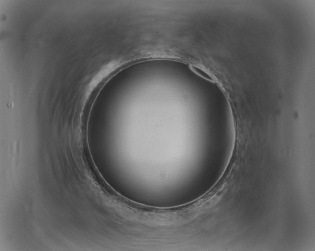 X0000062610008200512211149