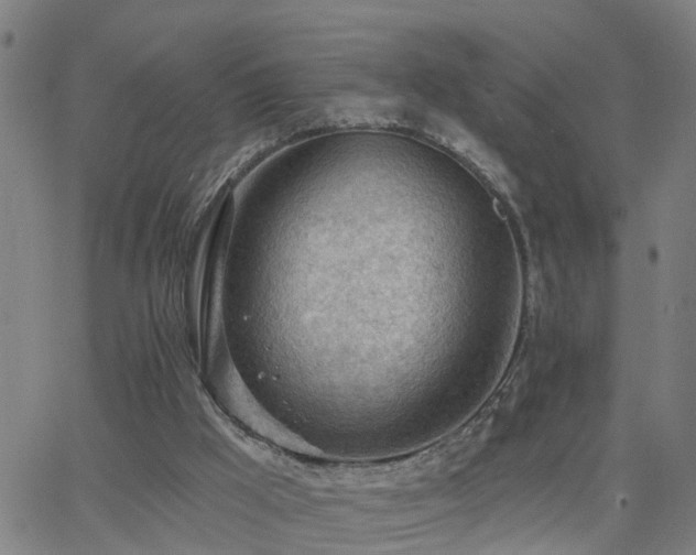 X0000062610009200512211149