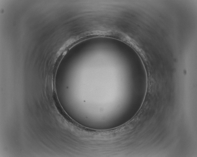 X0000062610011200512211149