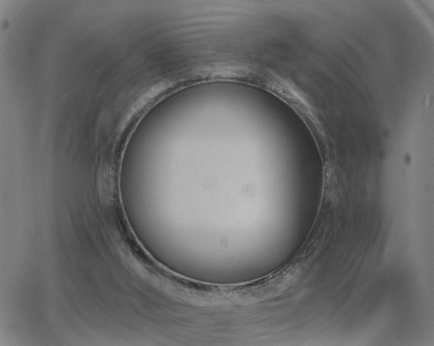 X0000062610012200512211149