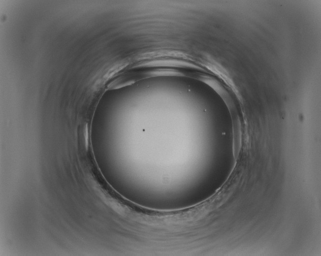 X0000062610013200512211149