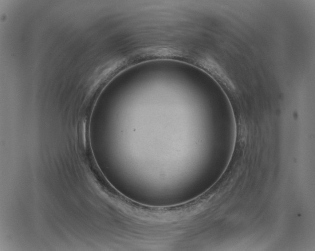 X0000062610014200512211149