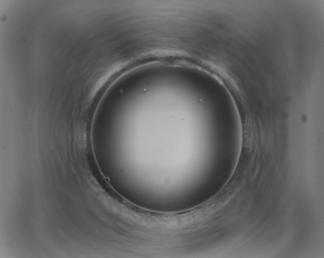 X0000062610015200512211149