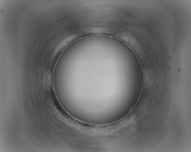 X0000062610016200512211149