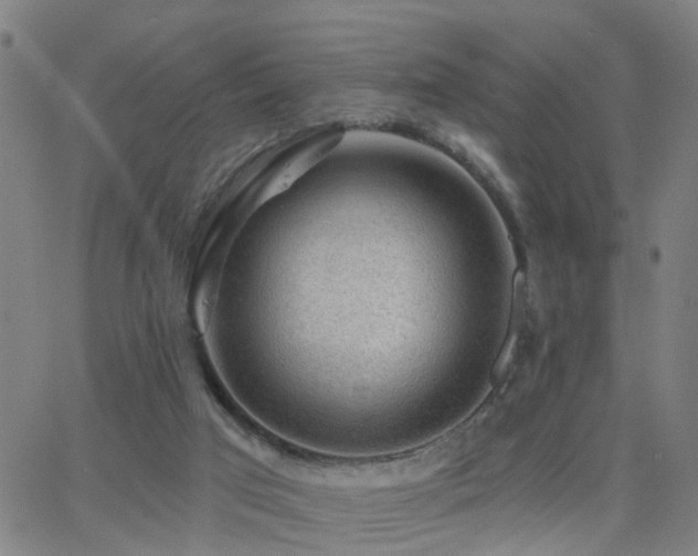 X0000062610017200512211149