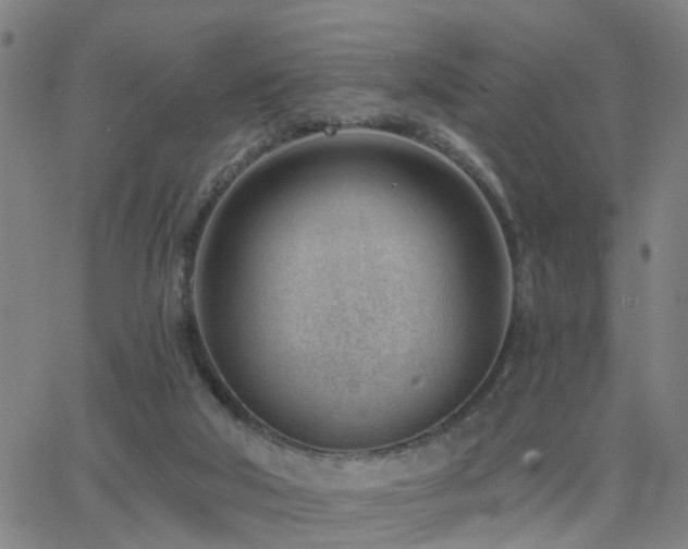 X0000062610018200512211149