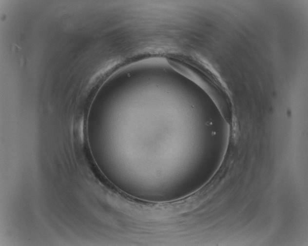 X0000062610019200512211149