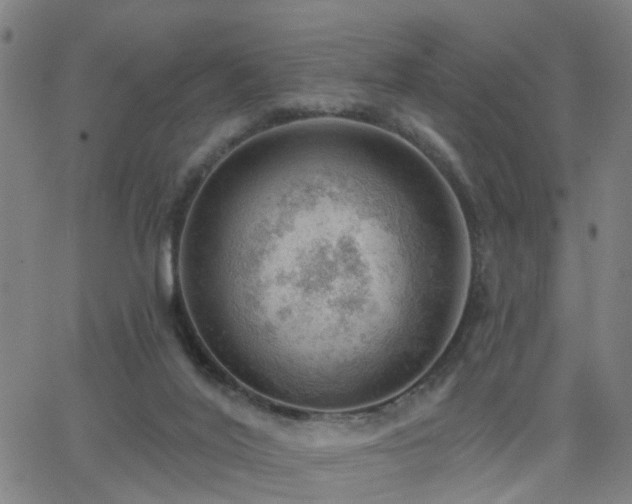 X0000062610020200512211148