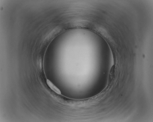 X0000062610021200512211148