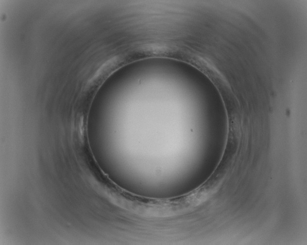 X0000062610024200512211148