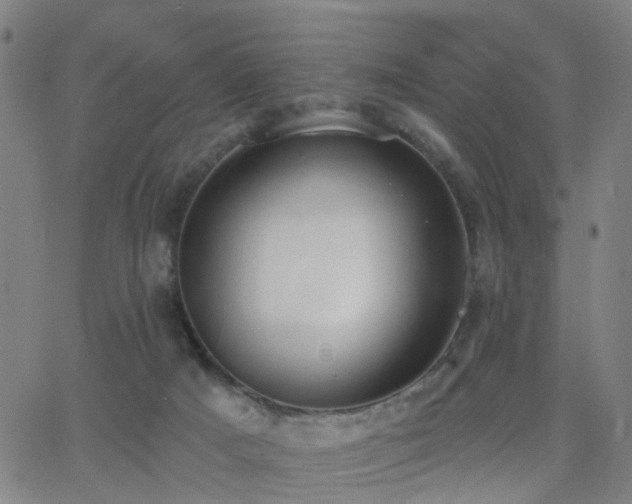 X0000062610025200512211148