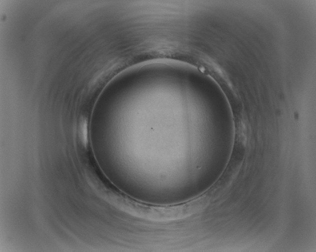 X0000062610027200512211148