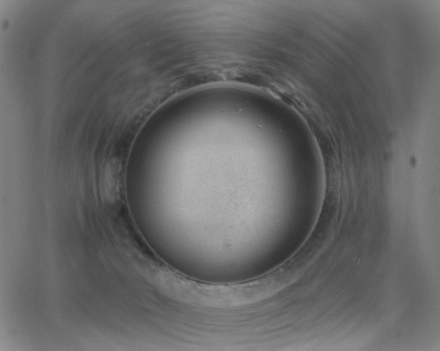 X0000062610030200512211148