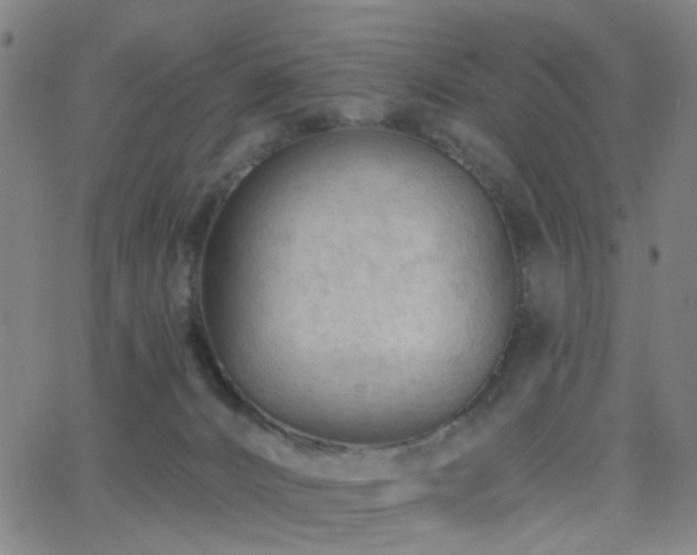 X0000062610032200512211148