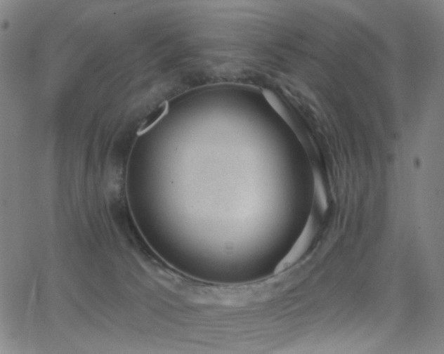 X0000062610033200512211148