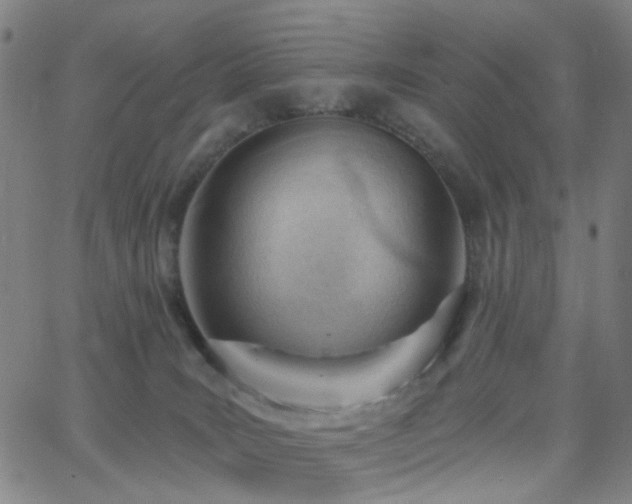 X0000062610035200512211148