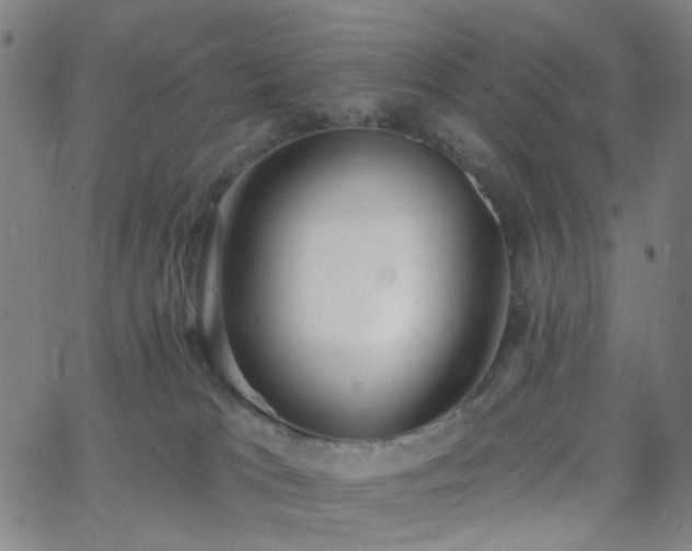 X0000062610037200512211148