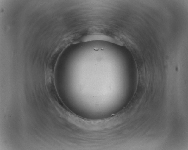 X0000062610038200512211148