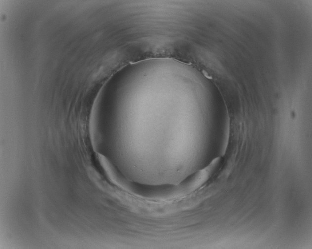 X0000062610039200512211148