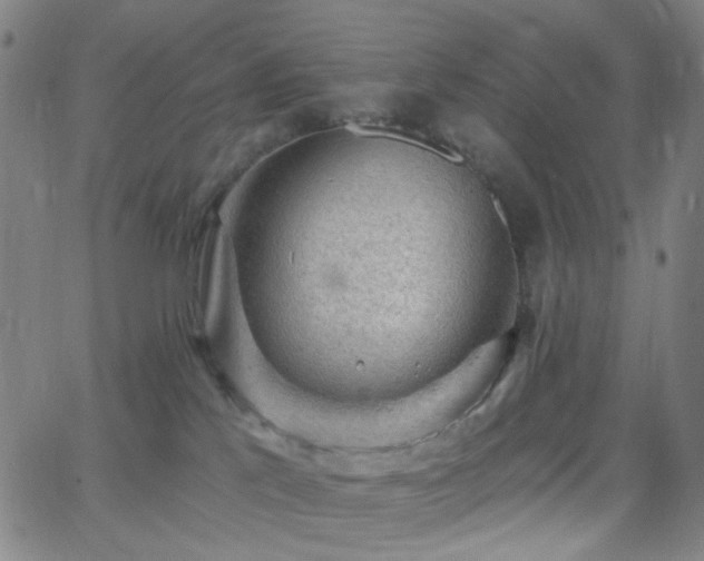 X0000062610041200512211148