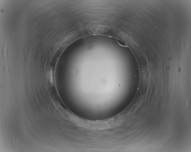 X0000062610042200512211148