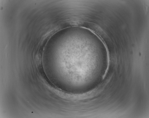 X0000062610043200512211148