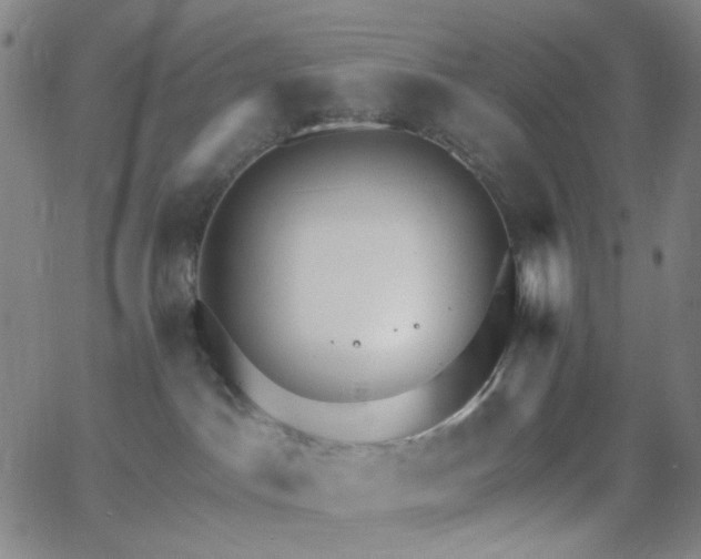 X0000062610045200512211148