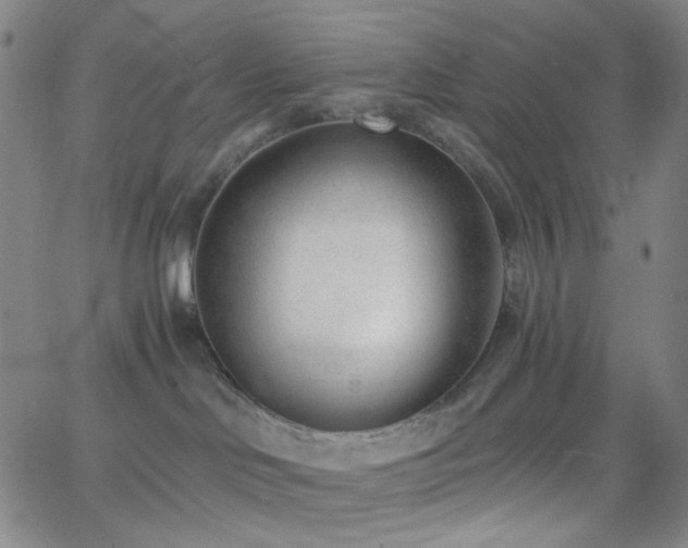 X0000062610046200512211148