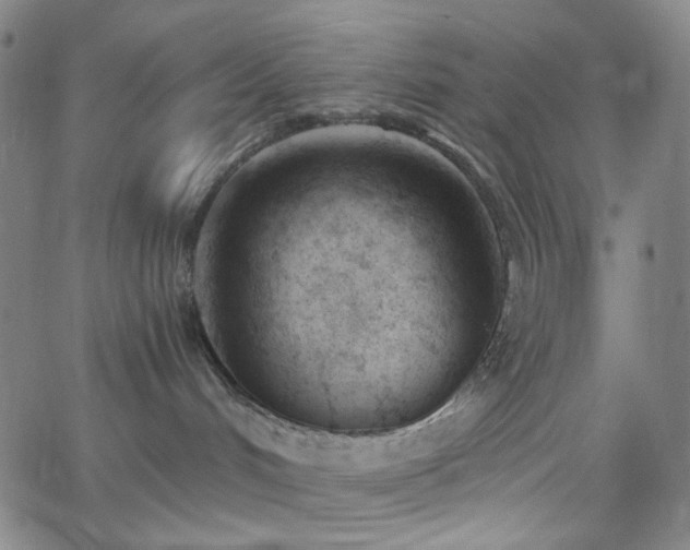 X0000062610048200512211148