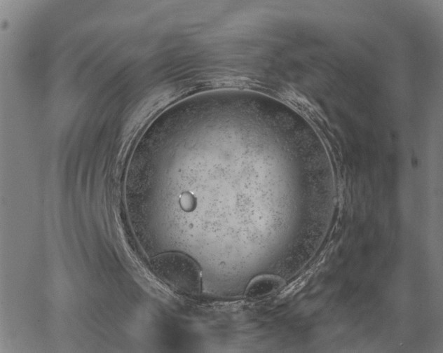 X0000062610049200512211147