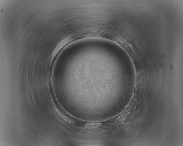 X0000062610051200512211147