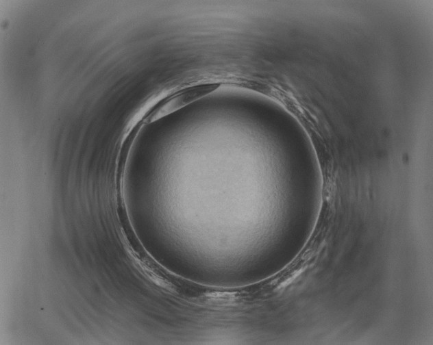 X0000062610052200512211147