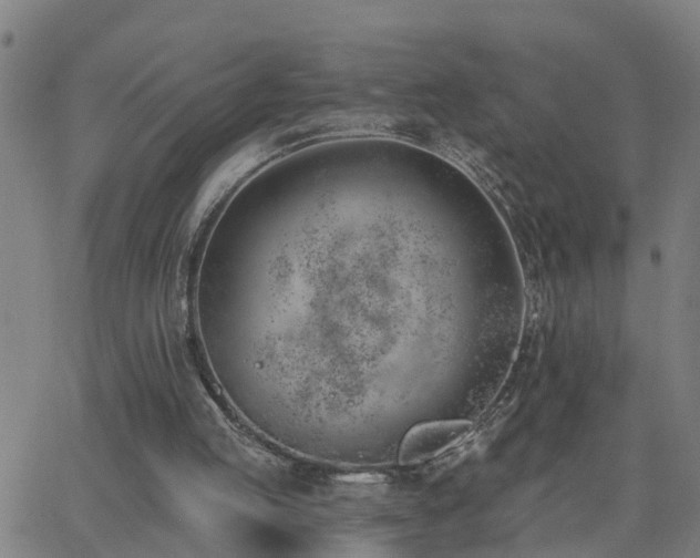 X0000062610053200512211147