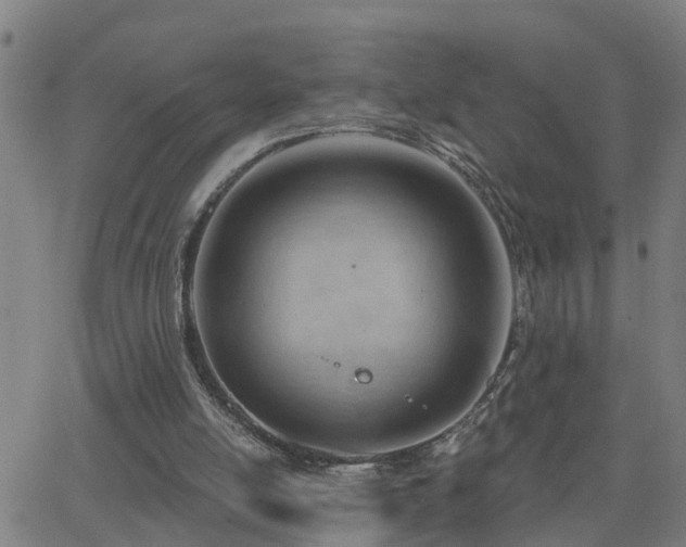 X0000062610054200512211147