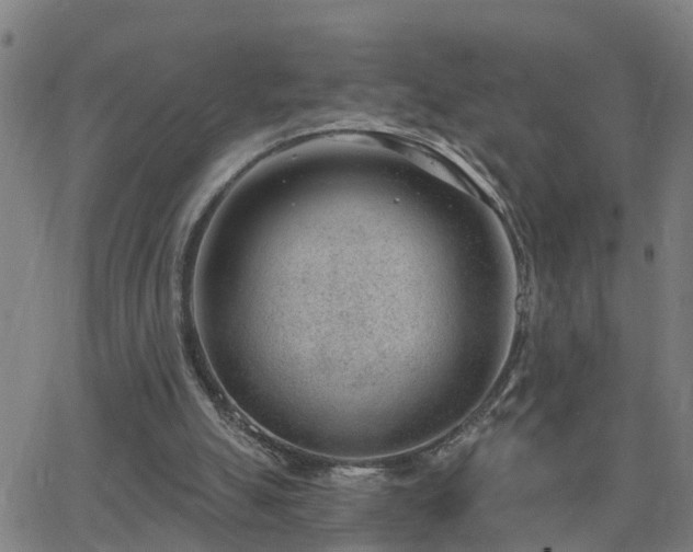 X0000062610055200512211147