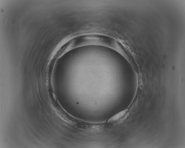 X0000062610056200512211147