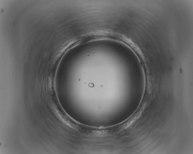 X0000062610057200512211147