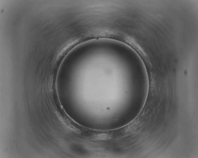 X0000062610058200512211147