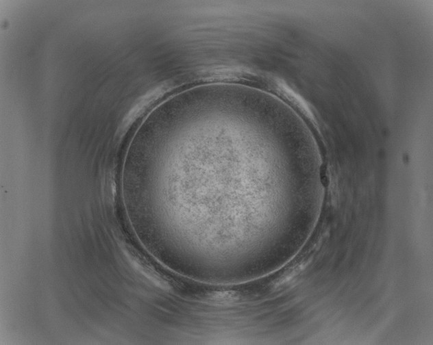 X0000062610059200512211147