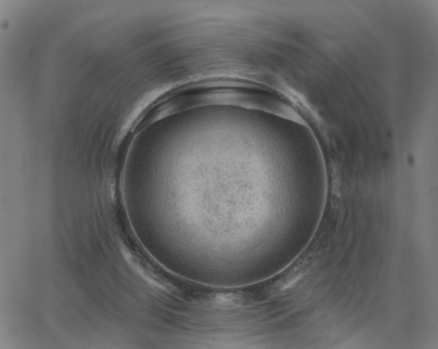 X0000062610060200512211147