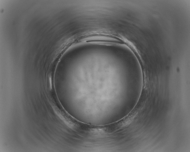 X0000062610061200512211147