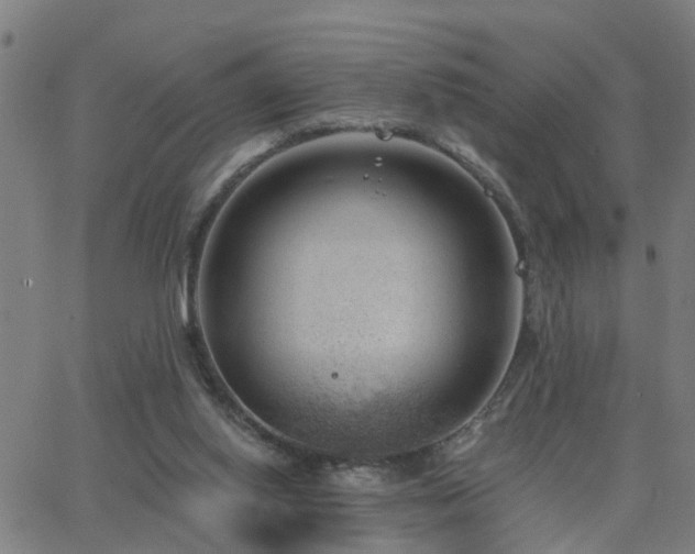 X0000062610062200512211147