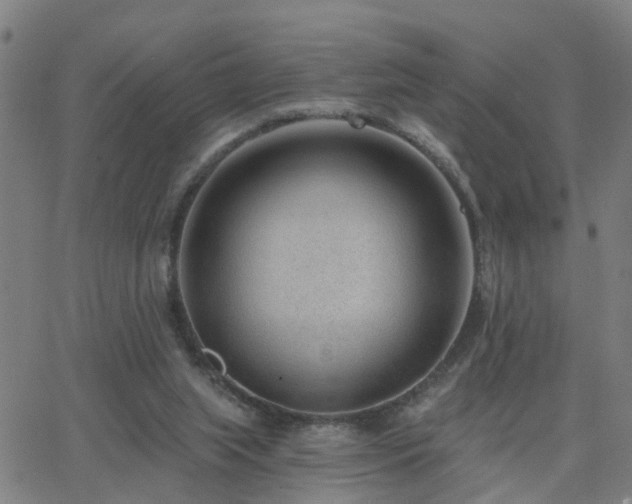 X0000062610063200512211147